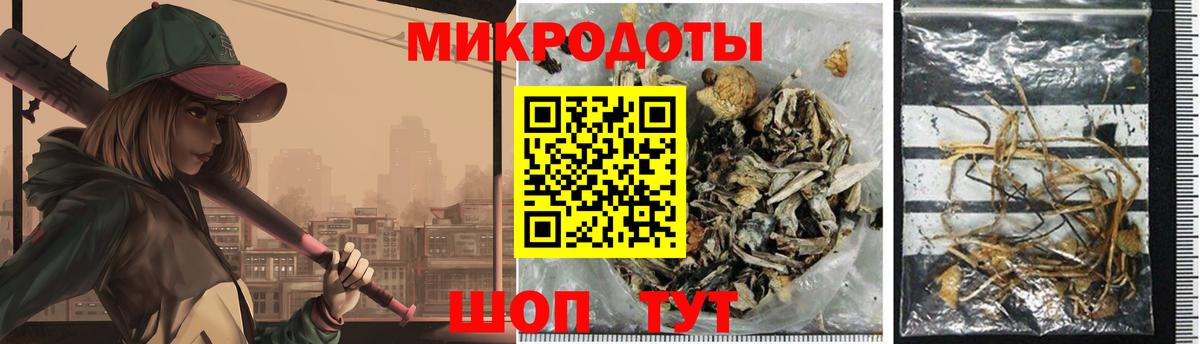 Псилоцибиновые грибы прущие грибы  Псилоцибиновые грибы Cubensis  Знаменск  Вход с VPN 